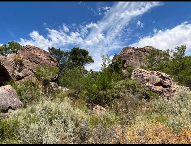 LAND FOR SALE IN PIKETBERG RURAL